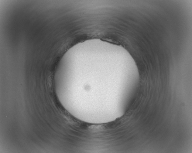 X0000066510133200604141758