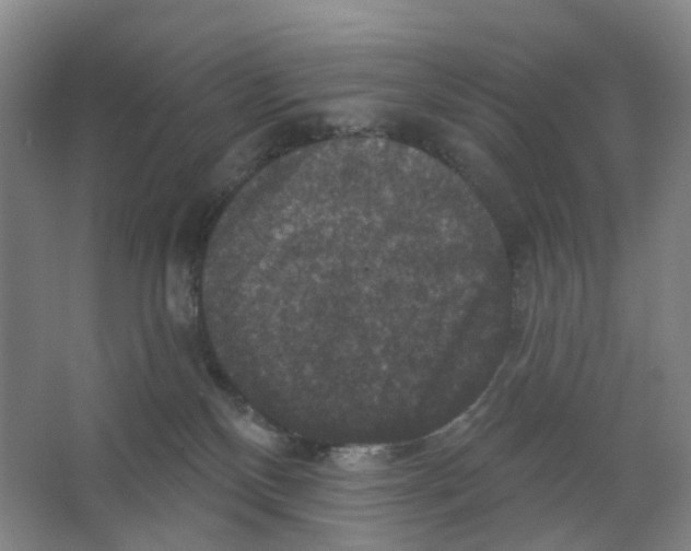 X0000066510136200604141758