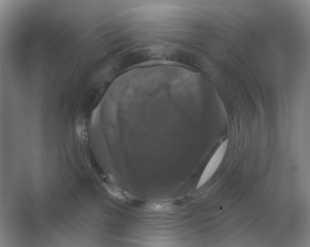 X0000066510137200604141758