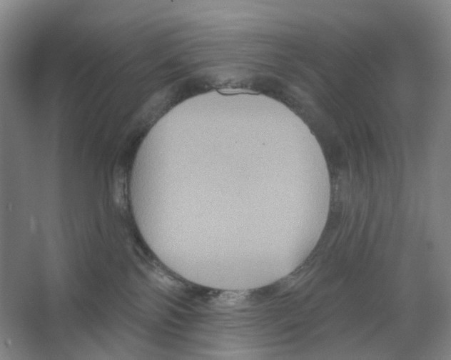 X0000066510138200604141758