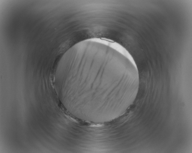 X0000066510139200604141758
