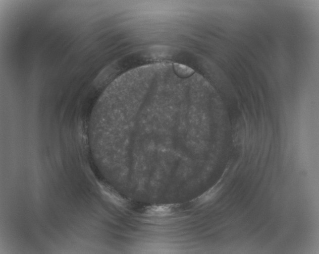 X0000066510140200604141758