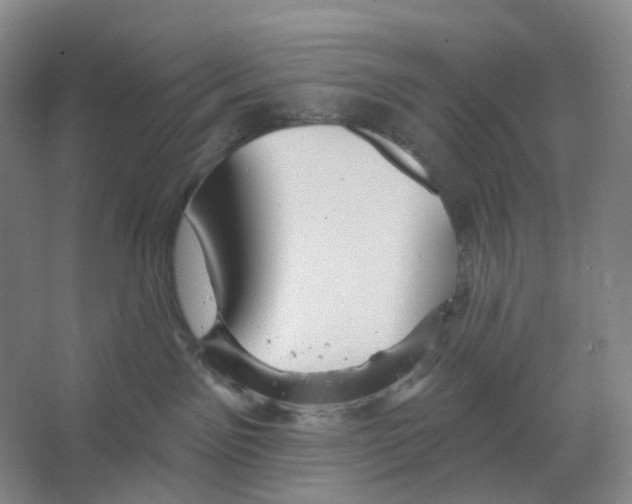 X0000066510141200604141758