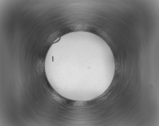 X0000066510142200604141758