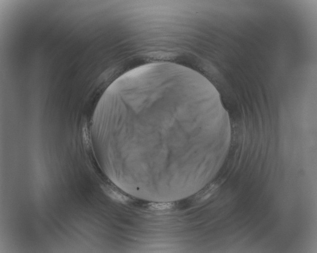 X0000066510143200604141758