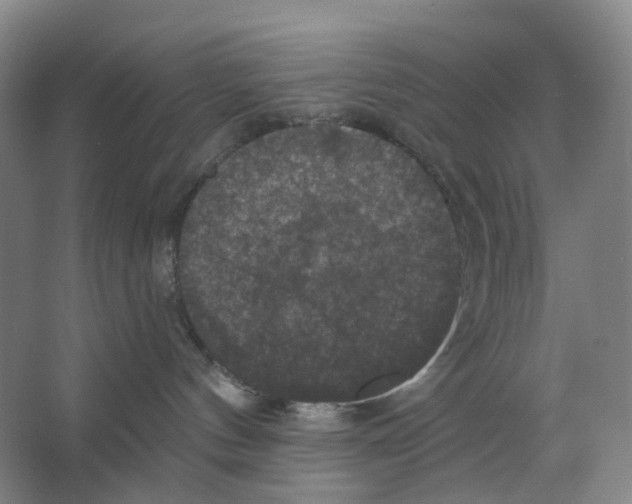 X0000066510144200604141758