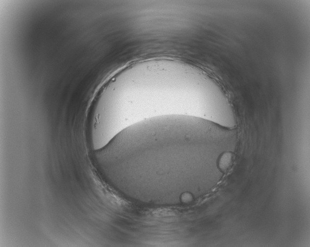 X0000066510146200604141757