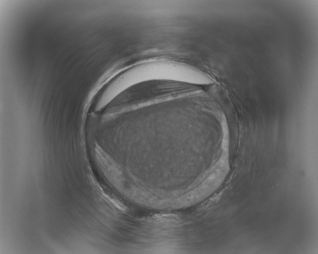 X0000066510150200604141757
