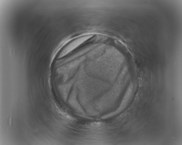 X0000066510152200604141757