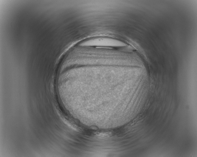 X0000066510155200604141757
