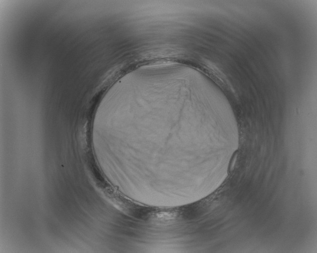 X0000066510163200604141757
