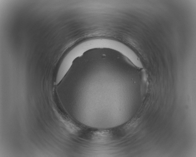 X0000066510164200604141757