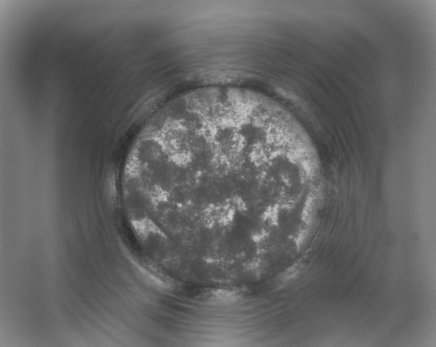 X0000066510166200604141757