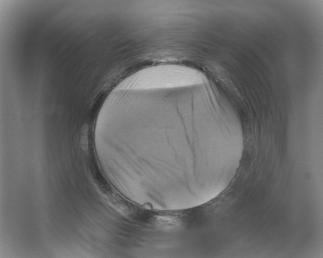 X0000066510167200604141757