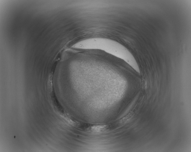 X0000066510172200604141757