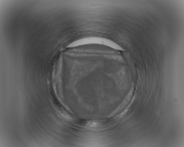 X0000066510174200604141757