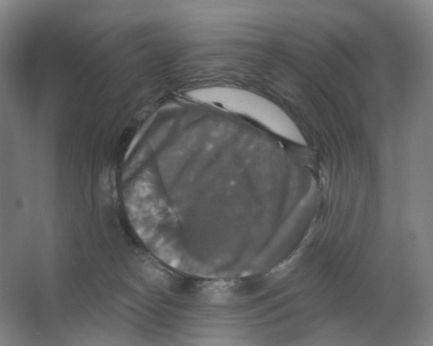 X0000066510182200604141757
