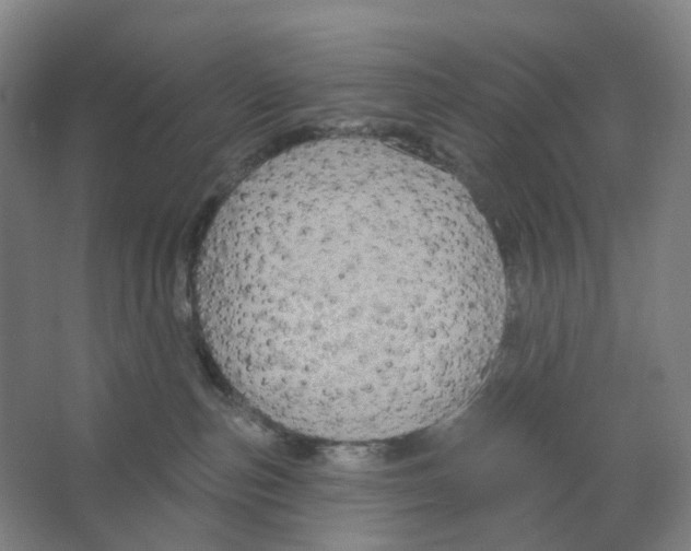 X0000066510187200604141757