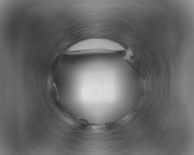 X0000066510188200604141757