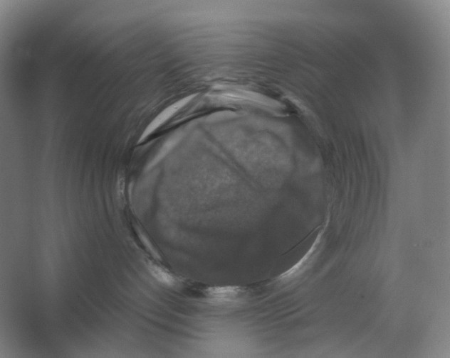 X0000066510192200604141758