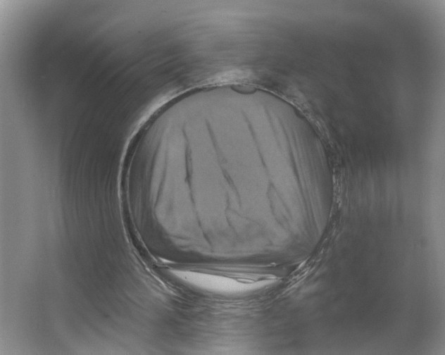 X0000066510196200604141757