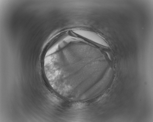 X0000066510198200604141757