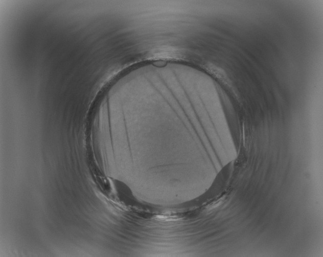 X0000066510204200604141757