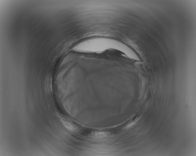 X0000066510205200604141757