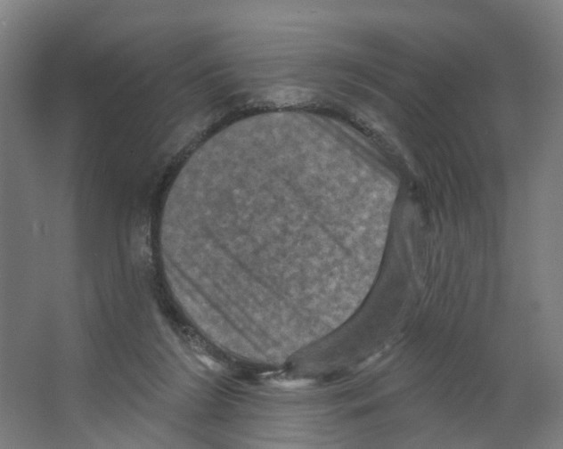 X0000066510212200604141756