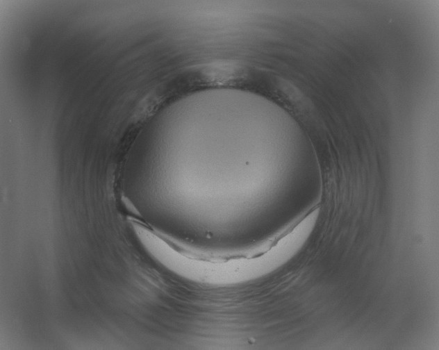 X0000066510221200604141756