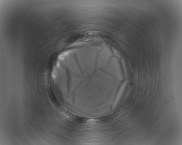 X0000066510222200604141756