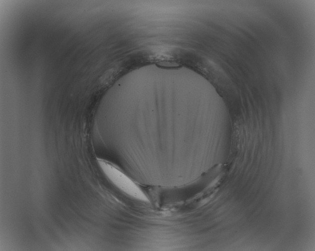 X0000066510223200604141756