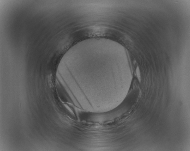 X0000066510224200604141756