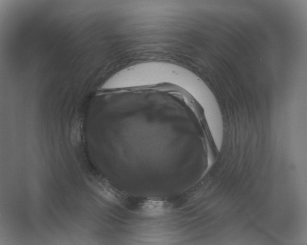 X0000066510227200604141756