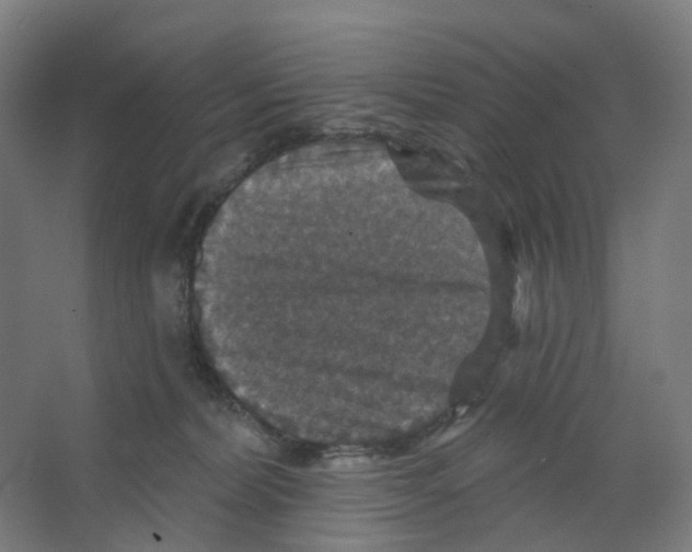 X0000066510228200604141756