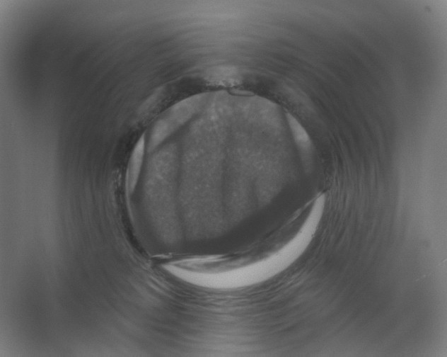 X0000066510229200604141756