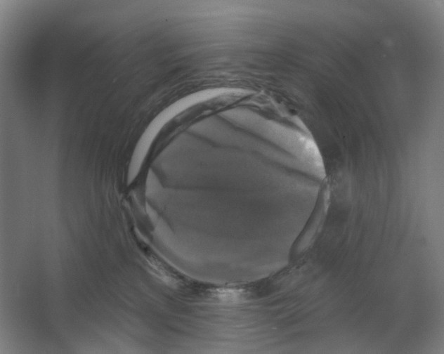 X0000066510233200604141756