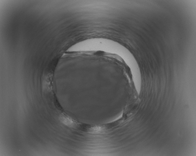X0000066510237200604141756