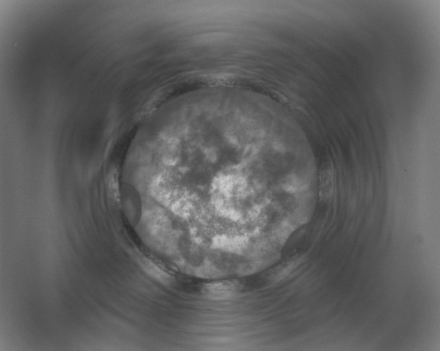 X0000066510238200604141756