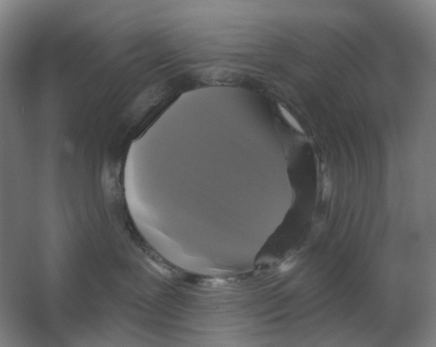 X0000066510239200604141756