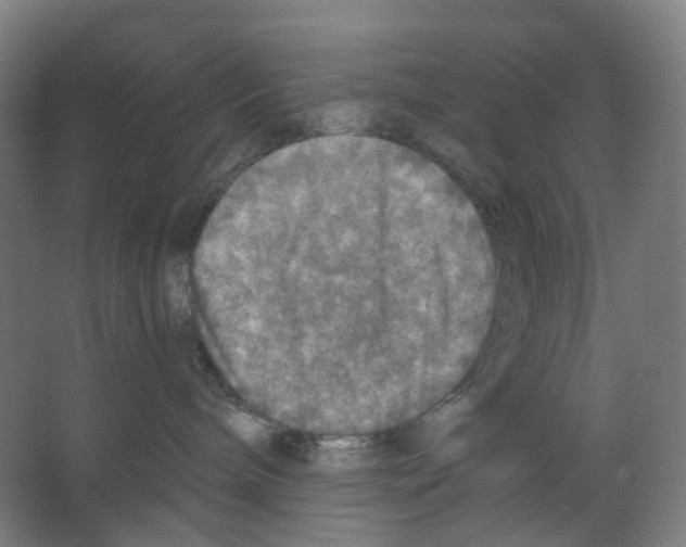 X0000066510240200604141756