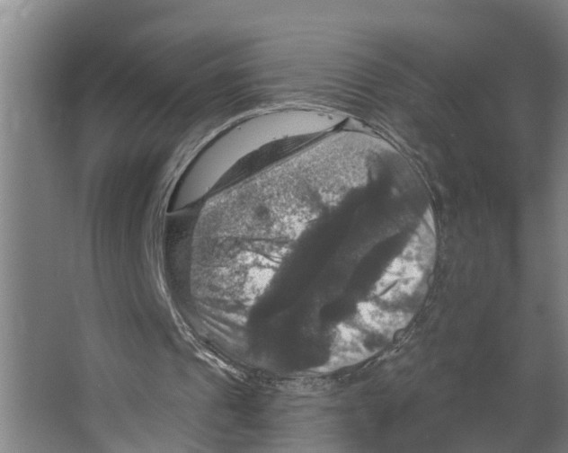 X0000066510241200604141755