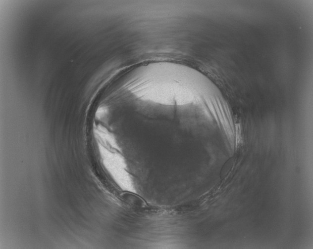 X0000066510243200604141755