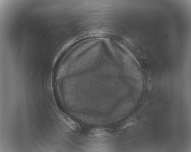 X0000066510244200604141755