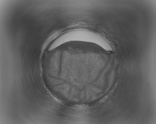 X0000066510245200604141755