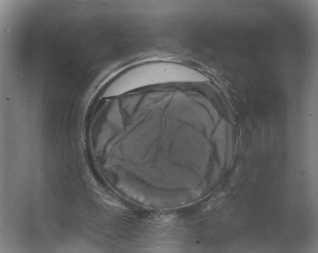 X0000066510247200604141755