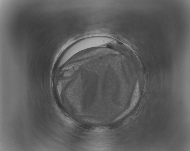 X0000066510248200604141755
