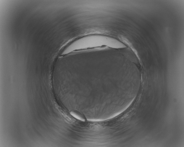 X0000066510249200604141755