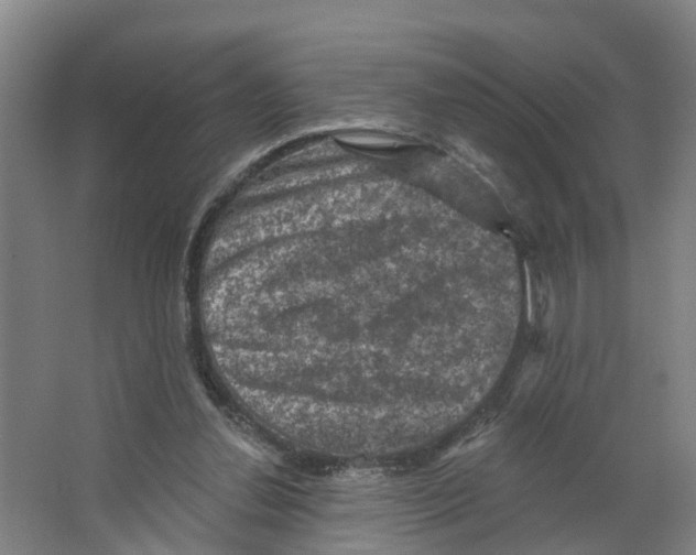 X0000066510252200604141755