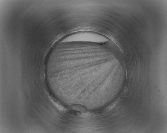 X0000066510253200604141755